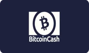 Bitcoin Cash — metodă de plată la LuckyWave Casino